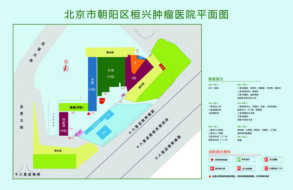 后入丝臀北京市朝阳区桓兴肿瘤医院平面图